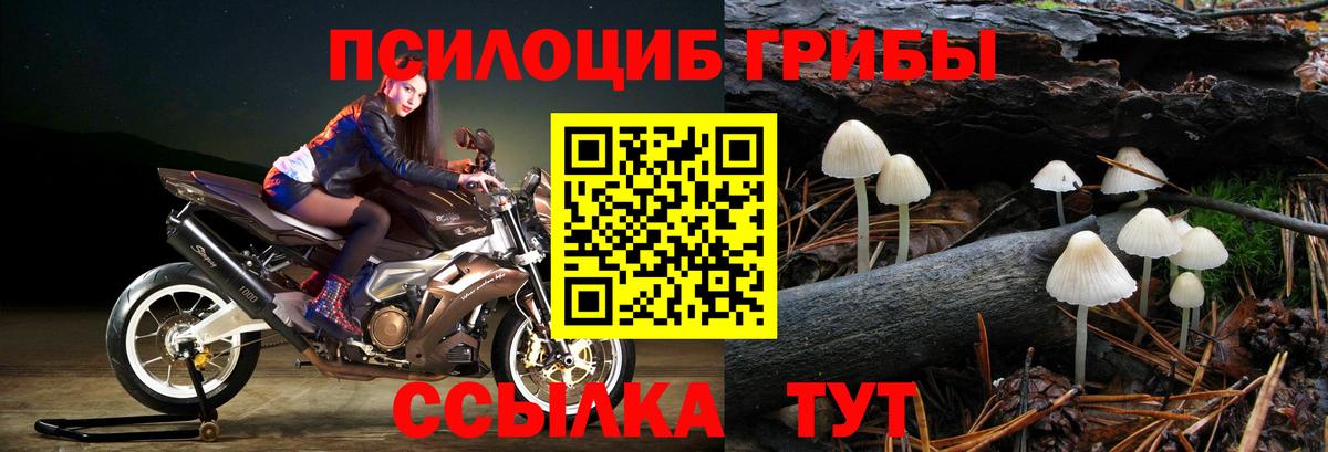 Галлюциногенные грибы Magic Shrooms Самара
